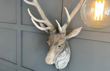 Kinnoull House near Stornoway Hot-Tub Sauna Pet Friendly - Photo 32