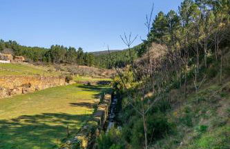Casa da Oliveira, Aradas, Pampilhosa da Serra, Wifi, Ar Condicionado, Churrasqueira, Parqueamento, by IG - Foto 39