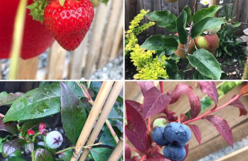 Courtyard Bothy - Foto 29