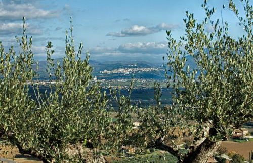 Agriturismo Poggio Degli Olivi - Guest House - Foto 72