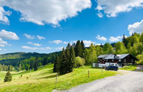 Mitten auf dem Feldberg Panorama Apartment Bergglück - Foto 17