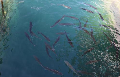 LUXURY Apartment Ledo - Foto 71