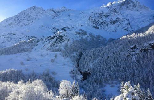 Les Enfetchores - apartment overlooking la Meije - Photo 7