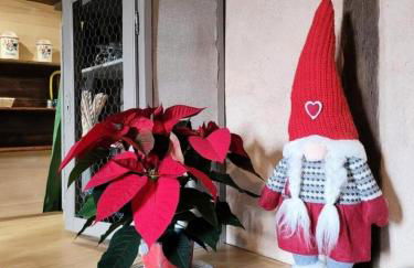 Gîte de France Gîte de la pépinière de chapi 2 épis - Gîte de France 4 personnes MAE-4631 - Foto 17