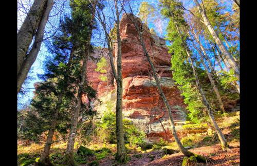 La casa di Alba-Salomé - Foto 45