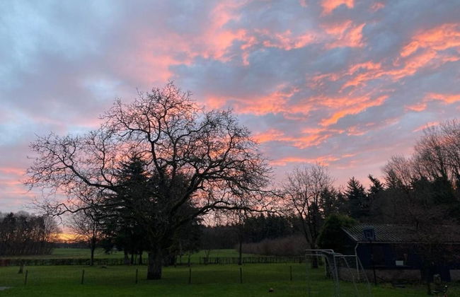 Modern Chalet With Nice Sliding Doors Near Lochem - Foto 19