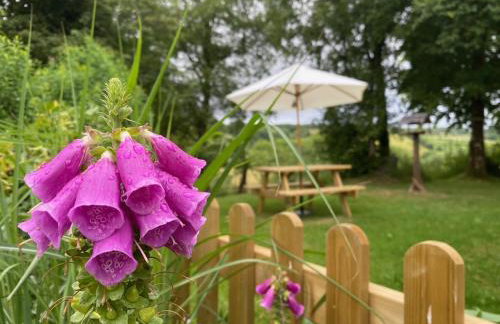 Brynarth Country Cottages - Foto 76