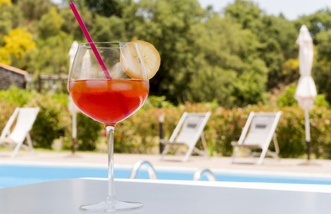 Viola nel Parco - Foto 71