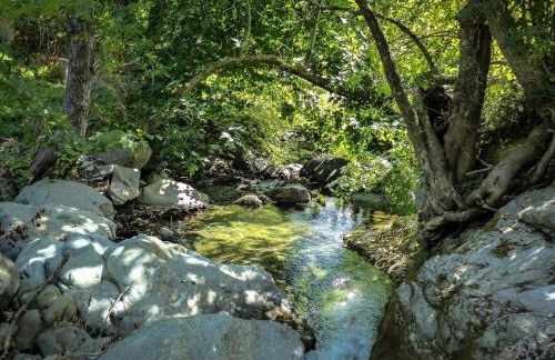 Très jolie maison aux portes du Cap Corse - Foto 26