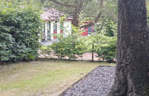 Ferienhaus uelsen - Foto 28