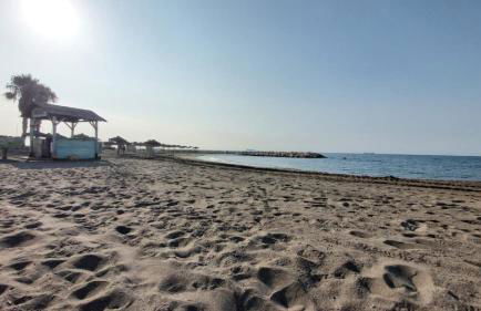 Del Parque Flats Pina Beach - Photo 36