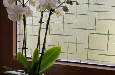 Das Bergquartier - Ferienwohnung Rabenkopf - Foto 19