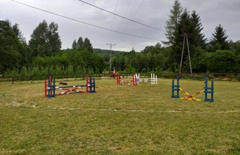 Świerkowe Rancho - Foto 17