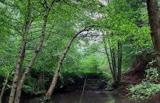 Ferienwohnung Bachstelze mit privater Terrasse - Foto 49