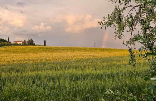 Casa Fornaci - Foto 16