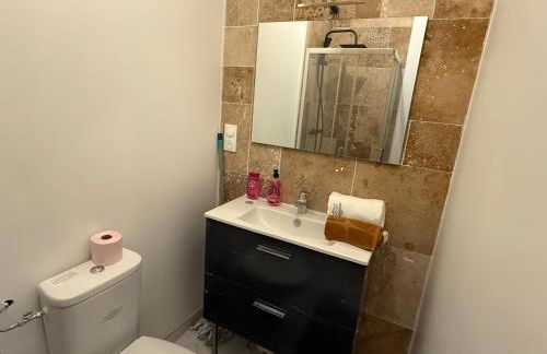 Studio avec Spa Lamballe - Photo 7