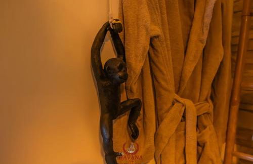 Loft "Havana Spa" Cuba Jacuzzi Sauna Bar à cocktails - Foto 49