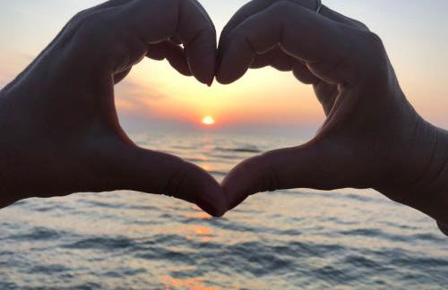 Schwarzwald Glück - Photo 12