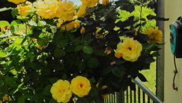 FerienResidenz über'm See - Foto 5, Internal: Not applicable to any particular room