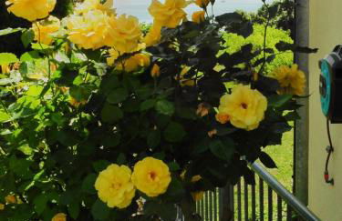 FerienResidenz über'm See - Foto 5