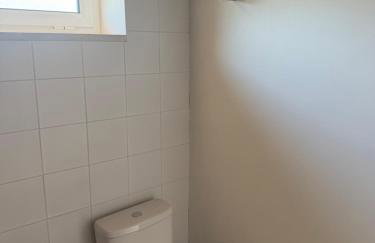 Quinta-lina de serpins - Foto 15