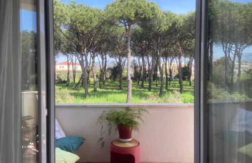 Confortevole appartamento tra spiaggia e pinete - Foto 9