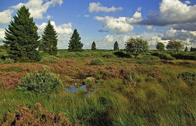Coastal Retreat in Boltenhagen - Photo 24