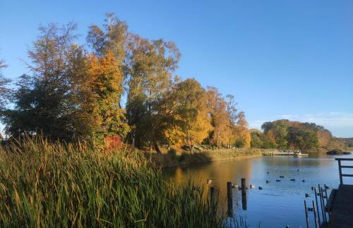 Alter Schulgarten - Foto 25