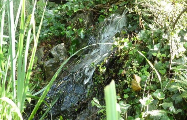 Charming Breebos Getaway - Foto 40