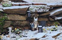 the tillys cottages - Foto 7