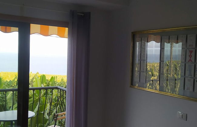 Caracol "trail Mountain La Palma" - Junto a Trébol - Foto 37