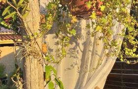 Casa Natturvibe - Praia do Rosa - Foto 15