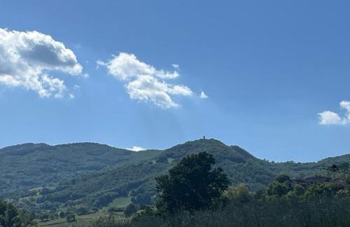 La Fabiola - Foto 33