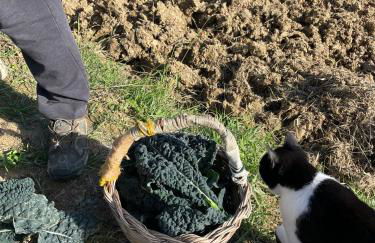 Villa Venti - Craft Wine & Hospitality - Foto 75