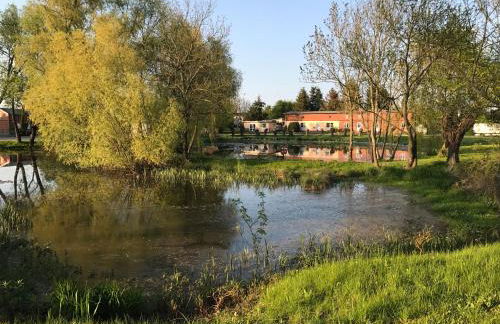 Ferienresidenz am Salzhaff - Foto 59