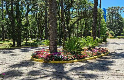 Fantástico Flat no Laje de Pedra Mountain Village - Foto 6