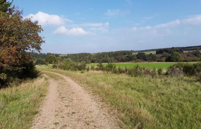 Nostalgic Apartment in the Eifel Region - Foto 80