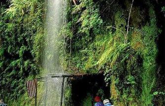Charming Apartments in Funchal - São Gonçalo - Foto 23