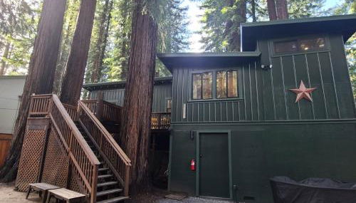 Dhyana Redwoods Fire Table Nearby River Access Ping Pong & Arcade Games - Foto 4, Other