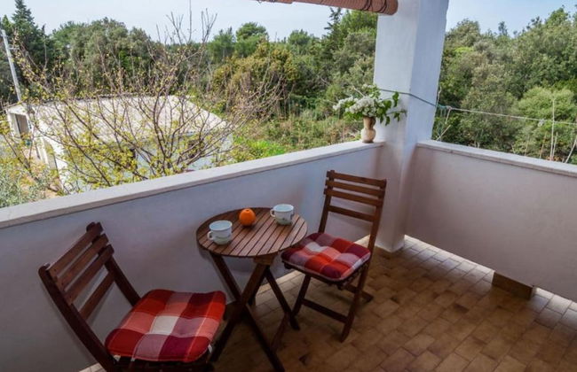 Seaside Oasis Apartments on Island Ugljan - Foto 19