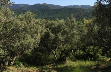 La Provence authentique à 30 minutes des plages - Foto 17