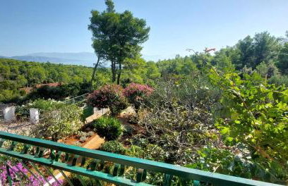 Apartments Basina - Foto 68