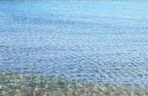 ross house - Foto 22