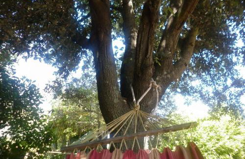 Country House Maremma Nel Tufo - Foto 57