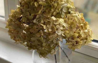 Bramble Cottage on the edge of Exmoor - Foto 15