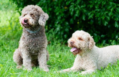 Agriturismo La Sorgente - Foto 71