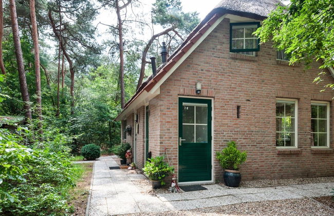 Holiday Home in Beerze Near Forest - Foto 1