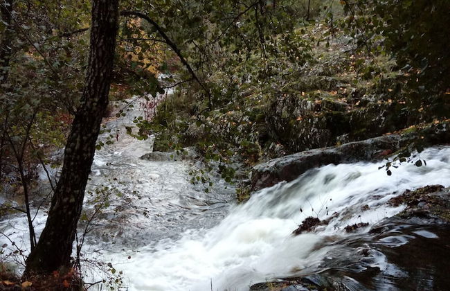 Casas Rurales Prunus Avium - Foto 23