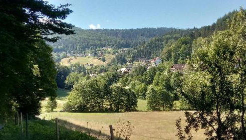 Alb-Rosa - Foto 3