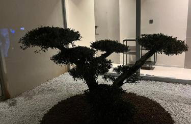 Villa Cedrus - Foto 38